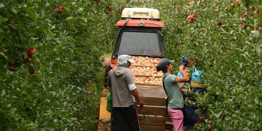 Agronegócio responde por 27% da população ocupada no país